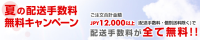 jshoppers-summer.jpg