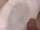 toilet_flap_asis.jpg