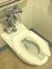 toilet_removed_flap.jpg